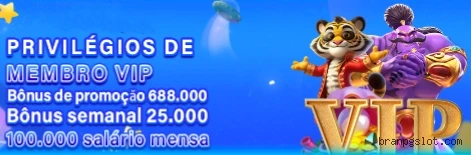 Imagem promocional da plataforma Branpg